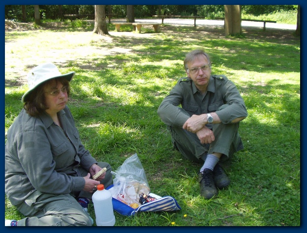 600x449 pixels (170K)